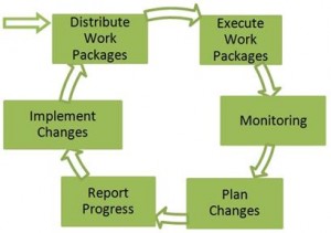 Project Execution & Monitoring
