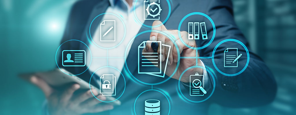 Software System Analyst