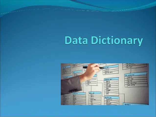 Data Dictionary